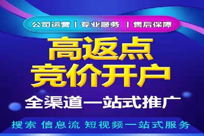 SEM代理服务：案例对比，效果哪家强